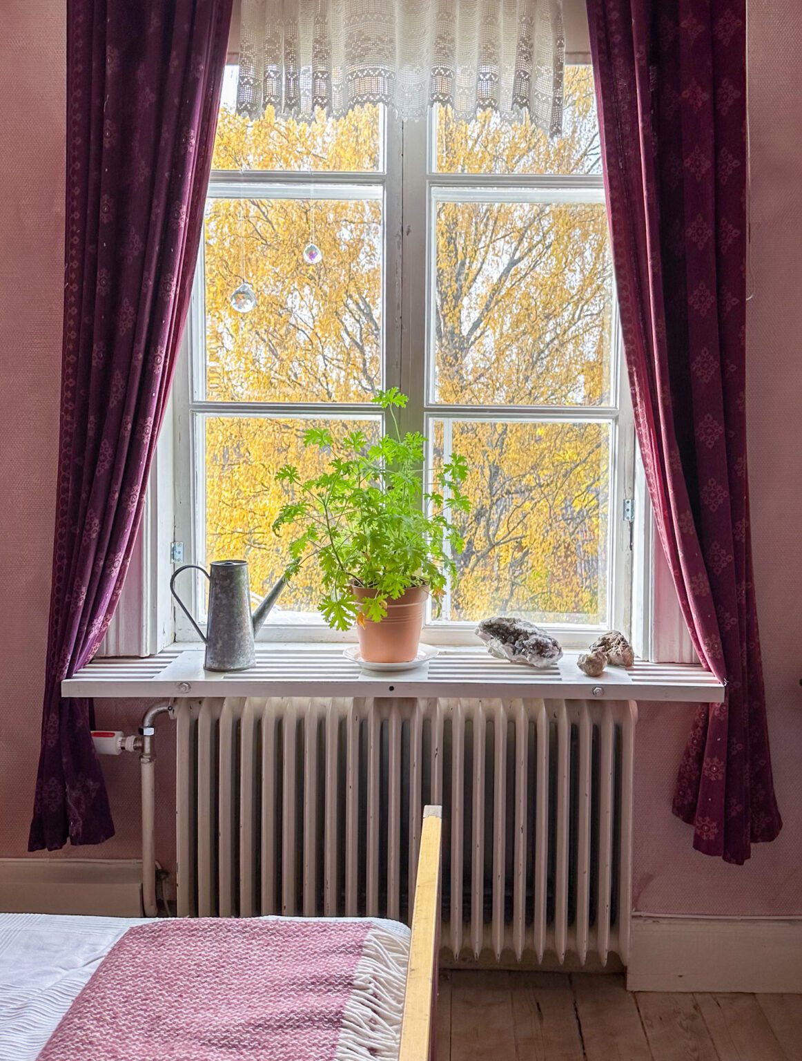 Copia di Regnbågex4